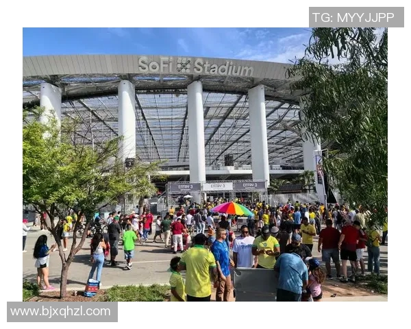 巴西与哥斯达黎加足球赛最新体彩赔率分析与预测